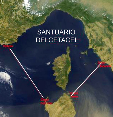 santuario dei cetacei